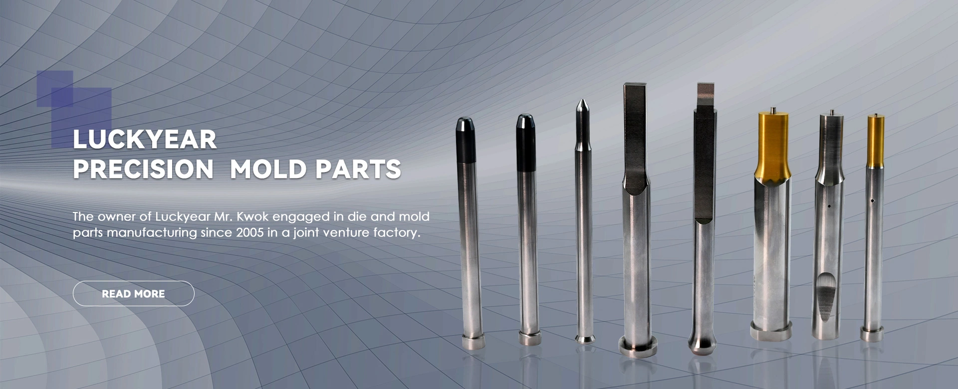 تامین کننده Precision Punches and Dies